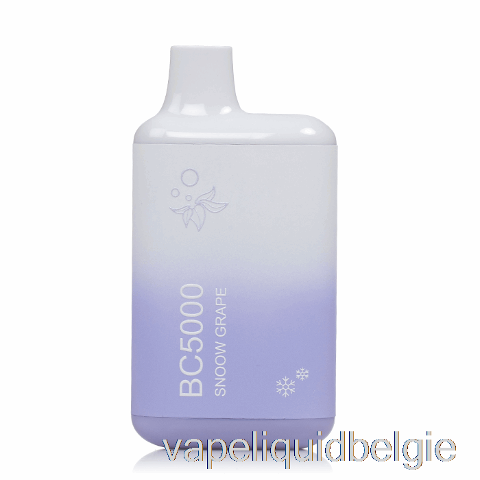 Vape België Bc5000 Wegwerp Sneeuwdruif